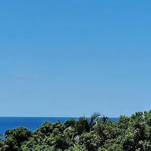  Appartement Joli T2 En Bas De Vue Jardin Et